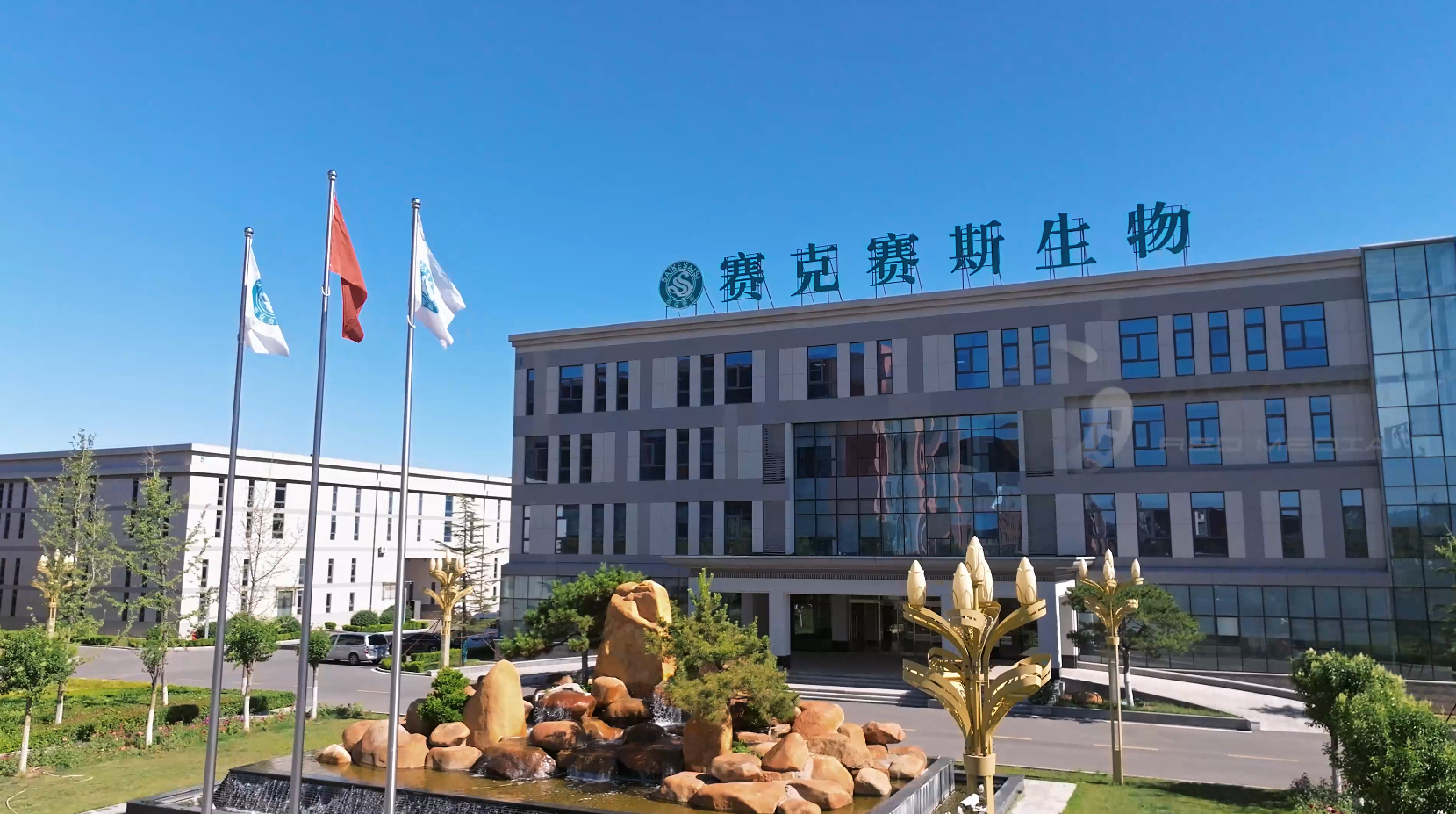 济南赛克赛斯生物科技企业宣传片