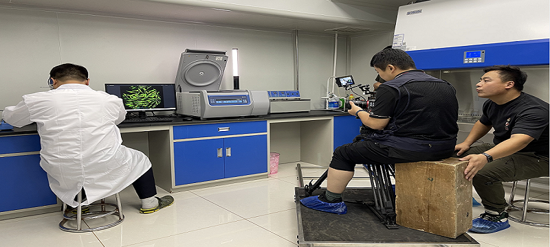 172490189135587e 172490189135587e